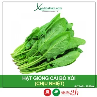 Hạt Giống Cải Bó Xôi Chịu Nhiệt Phú Nông Gói 20 Gram