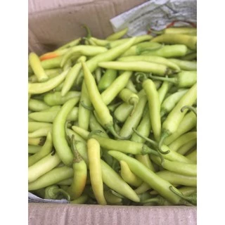 Ớt sừng vàng Huế  1kg