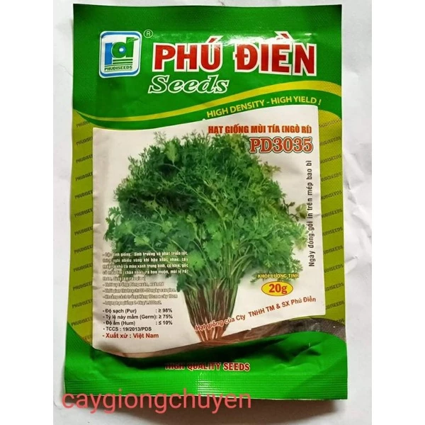 GÓI HẠT GIỐNG RAU MÙI (NGÒ RÍ) 20GRAM