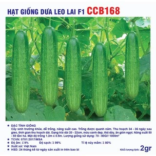 Hạt giống dưa leo chịu nhiệt (dưa chuột) CCB168