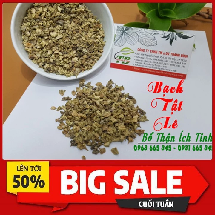 Bạch Tật Lê 1Kg - Cây Thuốc Nam Thanh Bình