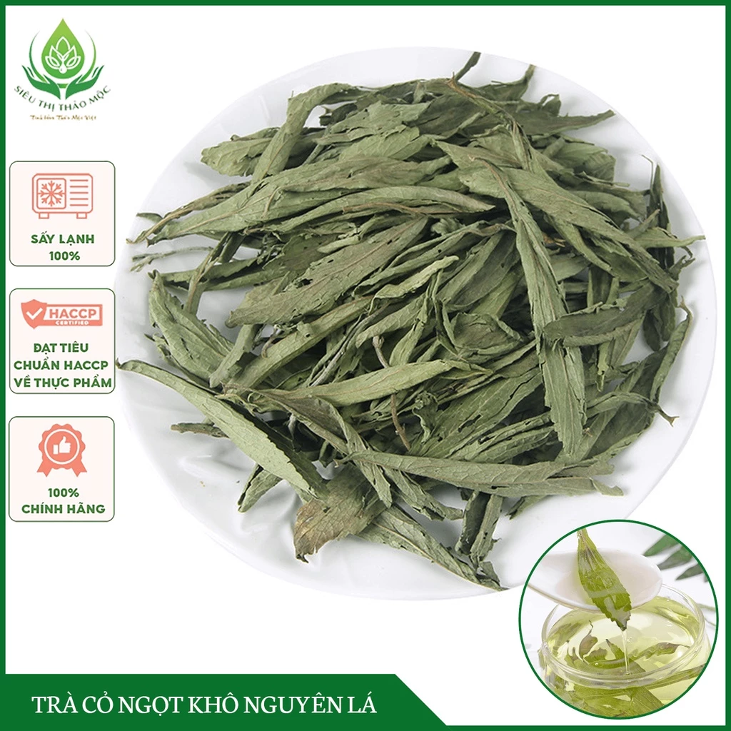 ✅[HÀNG LOẠI 1] Trà Cỏ Ngọt Sấy Khô Tự Nhiên Loại Đẹp Nguyên Lá Không Vụn Tốt Tiểu Đường Cao Huyết Áp