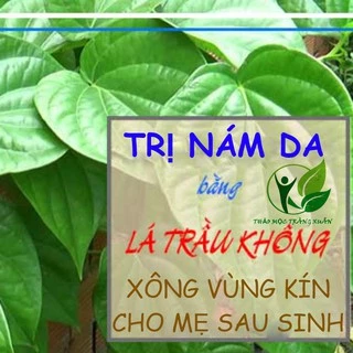 Bột lá trầu không xông hơ vùng kín sau sinh hoặc xông da mặt dạng túi lọc