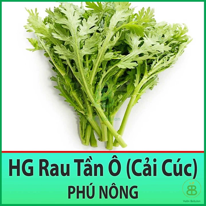 Hạt Giống Rau Tần Ô 20Gr - Hạt Giống Cải Cúc Bổ Dưỡng, Giàu Dinh Dưỡng