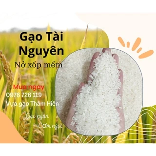 Gạo Tài Nguyên - Gạo Nở Xốp Mềm - 5KG