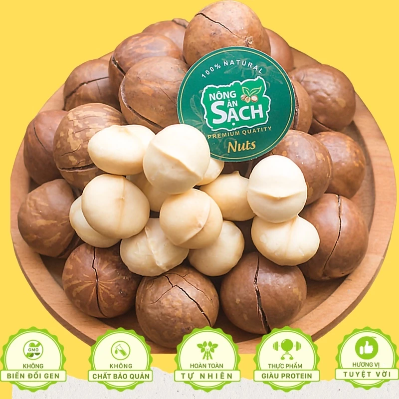 500g Hạt Macca Nông Sản Sạch Di Linh Lâm Đồng nhà trồng size A (hạt mắc ca)