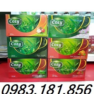 Trà Cozy Túi Lọc Táo/Xoài/Vải/Atiso/Dâu/Bạc Hà/ Hoa Cúc/Sen/Lài/Hoa Cúc/Hồng trà