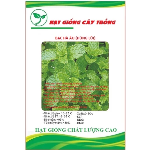 Hạt giống rau húng lũi ( húng bạc hà ) CT129 - Gói 0.1Gram