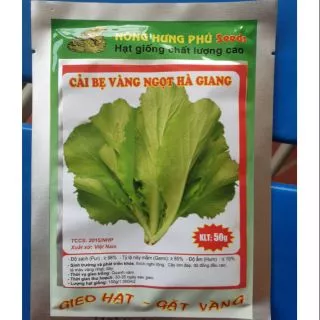 Hạt giống cải bẹ vàng ngọt Hà Giang loại gói to 50g