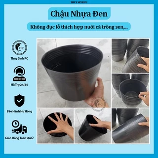 Chậu nhựa nuôi cá trồng sen