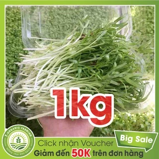 Hạt Giống Rau Mầm Rau Muống 1Kg - Bán Buôn