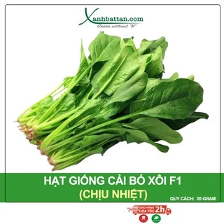 Hạt Giống Cải Bó Xôi Phú Nông Gói 20 Gram