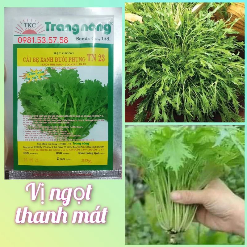 HẠT GIỐNG CẢI ĐUÔI PHỤNG TRANG NÔNG 100gr