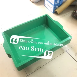 Khay nhựa trồng rau mầm, trồng rau sạch, đựng nước làm mát, kích thước 50x38cm, mầu xanh bóng, bền đẹp