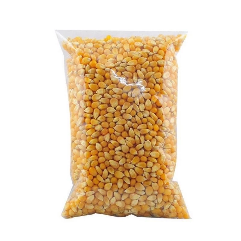 500G BẮP NỔ - MỸ (DÙNG LÀM MÓN BẮP RANG BƠ)