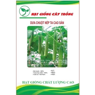 Hạt Giống Dưa chuột nếp ta cao sản F1 CT79 – Gói 10Hạt