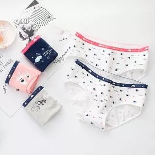 Set 5 Quần Lót Cotton Nữ Cute Cao Cấp Có Túi Zip