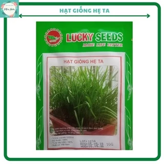 Hạt giống Rau Hẹ Ta Ăn Lá - 10 gram/gói