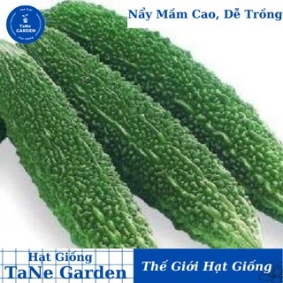 1Gr Hạt Giống Mướp Đắng/ Khổ Qua Gai - TaNe Garden