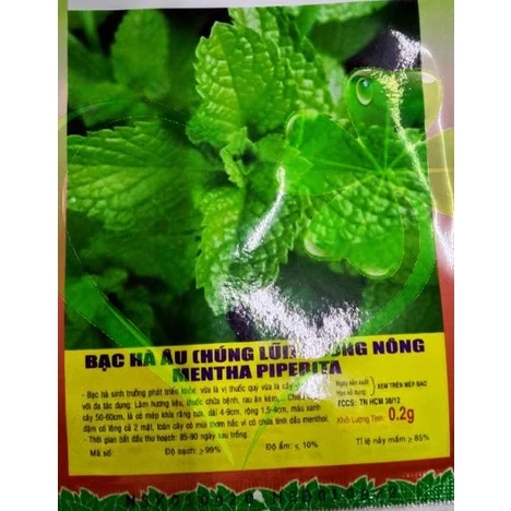 Hạt giống bạc hà âu húng lũi - gói 0.2 gram