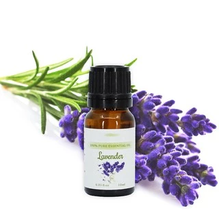 Tinh Dầu Lavender 10ml Tinh Dầu Thiên Nhiên