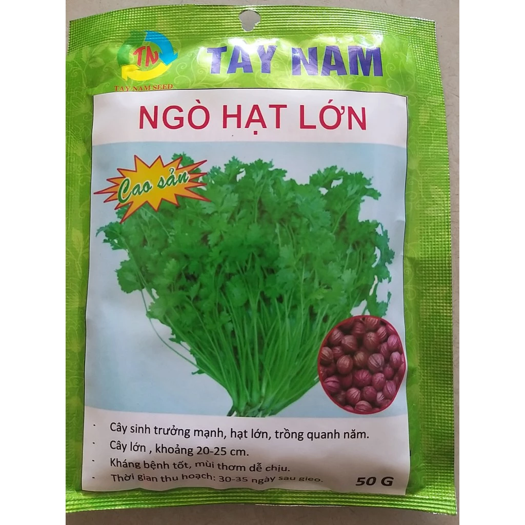 Hạt giống ngò hạt lớn Tây Nam gói 50g