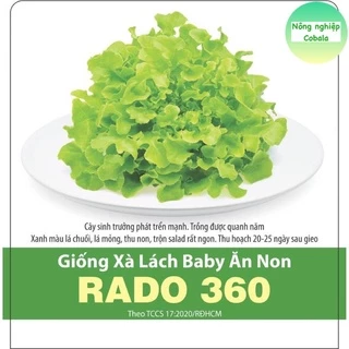 Hạt Giống Xà Lách Baby (RADO360) Ăn Non 10gr