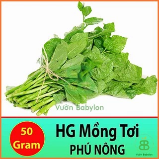 Hạt Giống Mồng Tơi Cao Sản 50Gr - Hạt Giống Mồng Tơi Dễ Trồng,Giàu Dinh Dưỡng