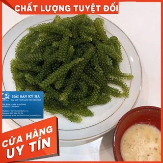 (100gr) 1 Túi Rong Nho Tách Nước - Giá Sỉ Rẻ Nhất