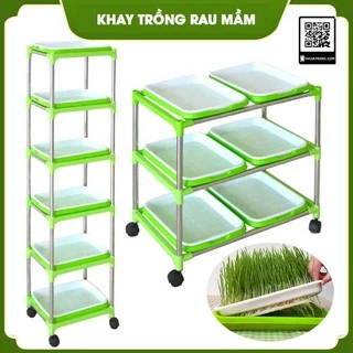 Kệ khay trồng rau mầm thủy canh chuyên dụng 2, 3, 4, 5, 6 tầng