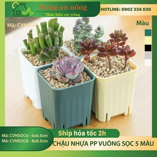 CVSOC6CM - 10 chậu vuông sọc dầy 6cm chất liệu nhựa PP xịn - trồng sen đá bonsai xương rồng có 5 màu chọn