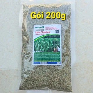 Giống Cỏ Sả Ghine Mombasa (Gói 200g) - Cỏ Sả Lá Lớn - Giống Cỏ Chăn Nuôi Phát Triển Nhanh Nhất