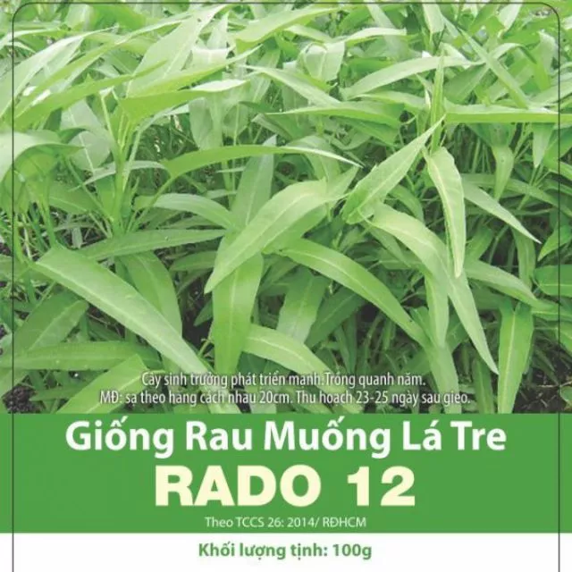 50gr hạt giống rau muống lá tre dễ trồng mau được ăn