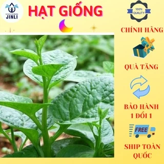 Hạt Giống Rau Mồng Tơi Cao Sản (5 Gr) JL33