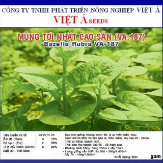 Hạt giống mùng tơi Nhật cao sản