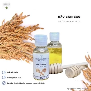 Dầu Cám Gạo Nguyên Chất - Dầu Nền Mỹ Phẩm Thiên Nhiên có kiểm định châ lượng 30ML - 50MlL - 100ML