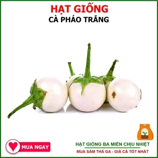 Hạt Giống Cà Pháo, Giống Trái Giòn 0.5Gram