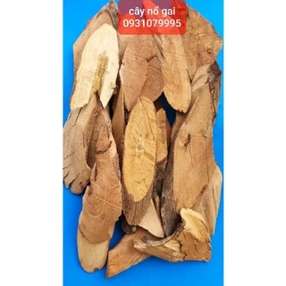 cây nổ gai phơi khô 1kg