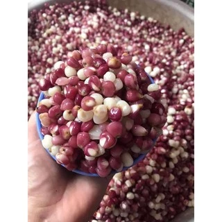 NGÔ NẾP BUNG ĐIỆN BIÊN 1 kg