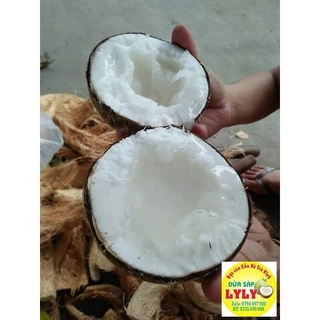 Dừa Sáp Loại đặc biệt nước sệt trái trên 1kg5