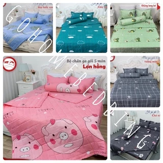 Chăn ga gối Chăn hè 5 món cotton poly hàng mịn đẹp bông dày( được chọn mẫu)