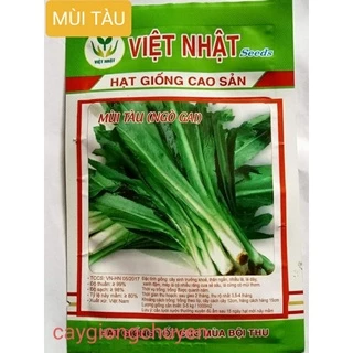 HẠT GIỐNG NGÒ GAI (MÙI TÀU) GÓI 0.5GRAM