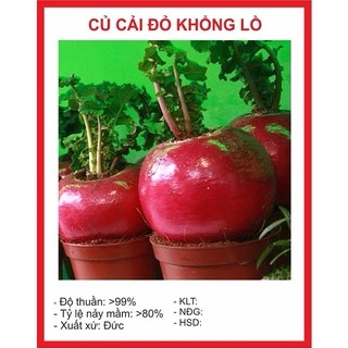 Hạt Giông Củ Cải Khổng Lồ 20 Hạt