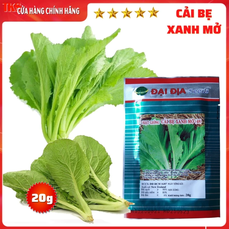 Hạt Giống CẢI BẸ XANH MỞ- Gói 20g: Phát Triển Mạnh, Kháng Sâu Bệnh, Trồng Được Quanh Năm