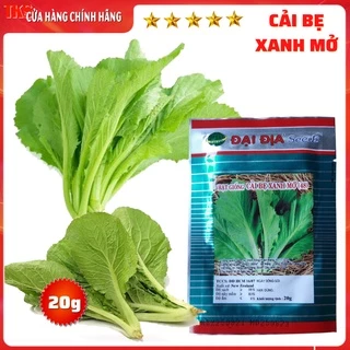 Hạt Giống CẢI BẸ XANH MỞ- Gói 20g: Phát Triển Mạnh, Kháng Sâu Bệnh, Trồng Được Quanh Năm