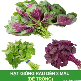 Hạt giống rau dền đỏ - gói 20gr