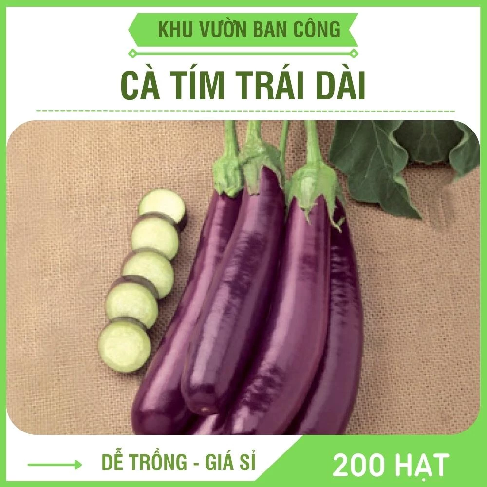 Hạt Giống Cà Tím Trái Dài Cơm Xanh Gói 2G 200 Hạt - Khu Vườn Ban Công