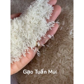 Gạo ST25 (1 Ký )Tách Từ Bao 5Ky