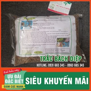 Trắc Bách Diệp Khô 1kg _ Hàng Loại 1