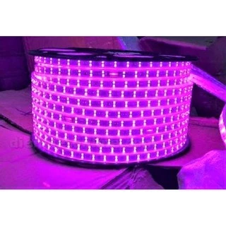 CUỘN LED 2 ĐƯỜNG BÓNG 2835 (100M) (Hồng)